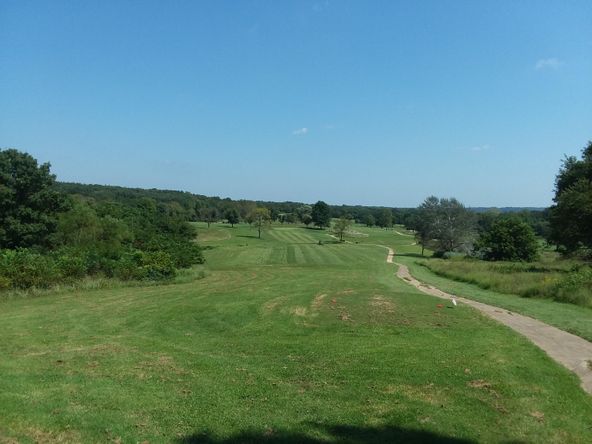 23980 Shadow Lake Dr, Wheatland, MO 65779